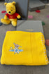 Baby Teddy & the Airplane Ride | Personalized Baby Blanket